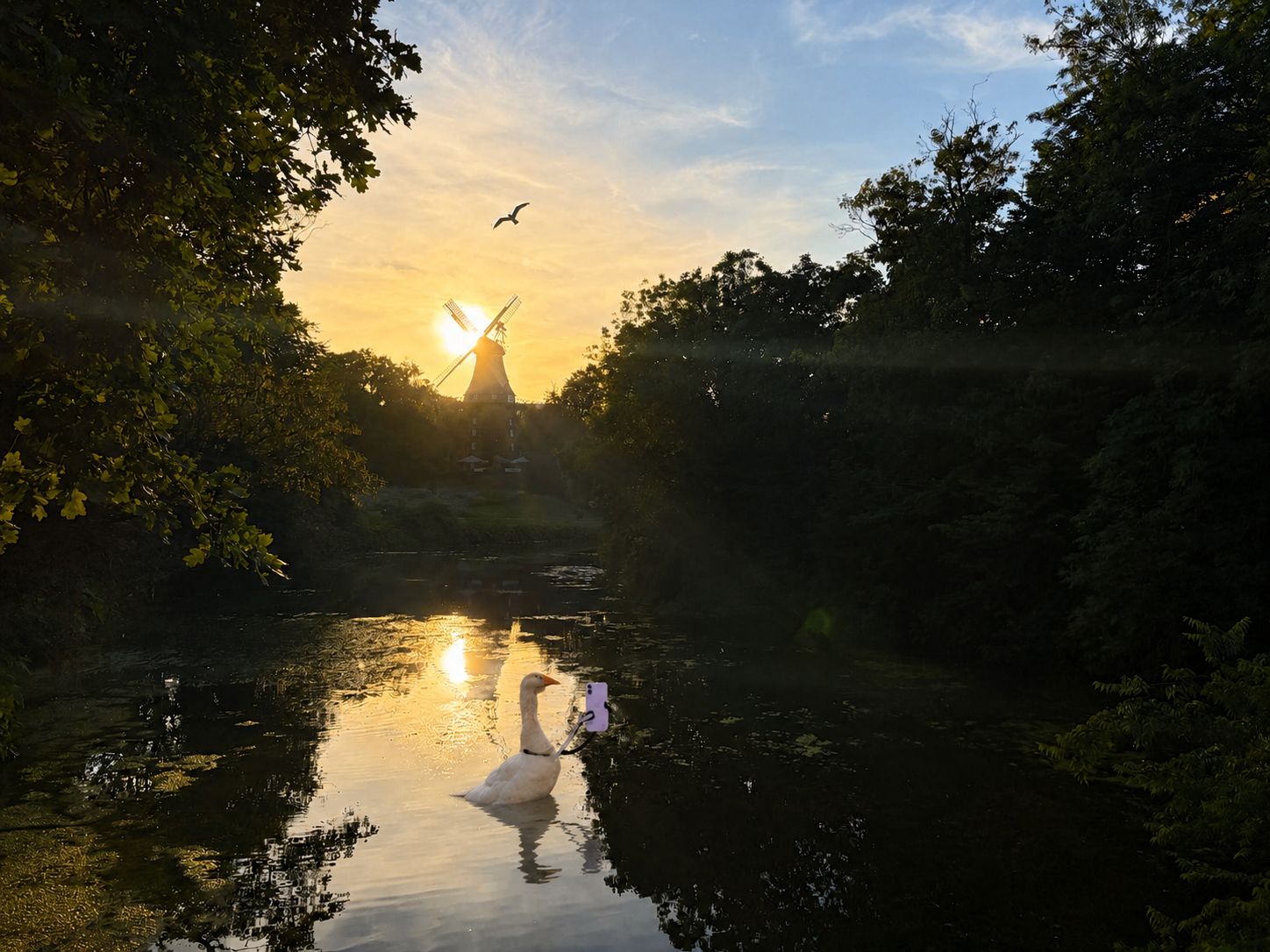 A goose floating on a golden sunset pond, holding up a lila iPhone with little doodle arms to take a selfie, a windmill silhouetted behind it.